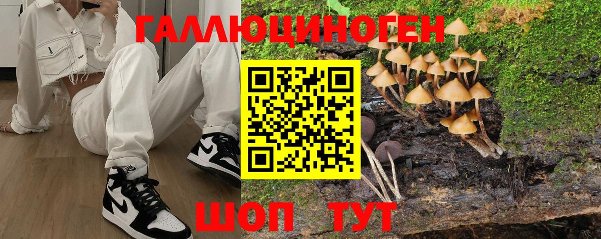 Галлюциногенные грибы MAGIC MUSHROOMS  Вход с VPN  Белорецк 